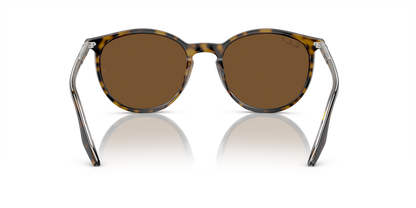 Havana On Transparent - 0RB2204 8056597936392