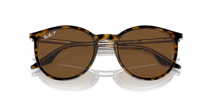 Havana On Transparent - 0RB2204 8056597936392