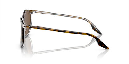 Havana On Transparent - 0RB2204 8056597936392