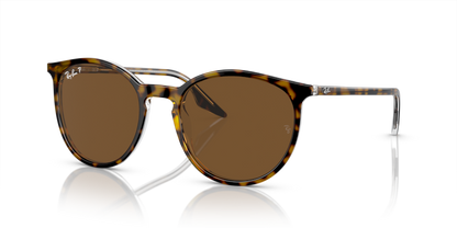 Havana On Transparent - 0RB2204 8056597936392