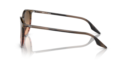 Striped Brown & Red - 0RB2204 8056597936477