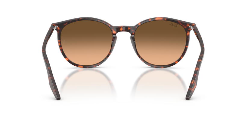 Havana Red Tortoiseshell - 0RB2204 8056262473313