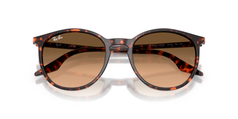 Havana Red Tortoiseshell - 0RB2204 8056262473313