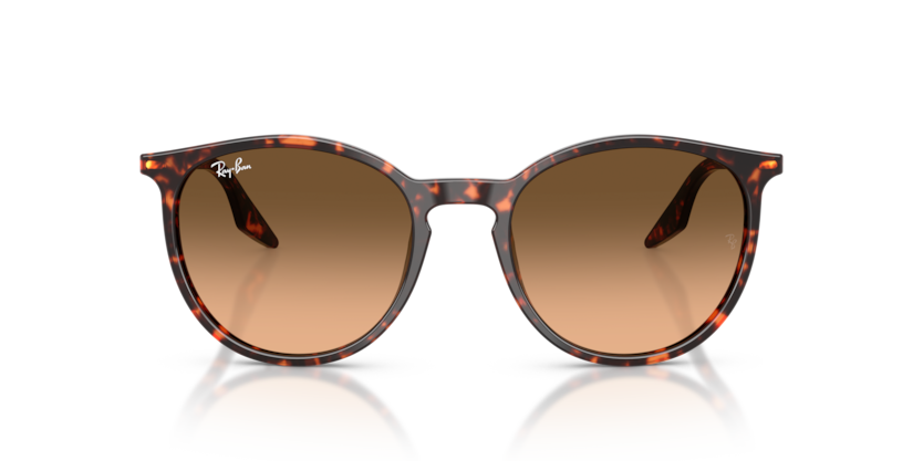 Havana Red Tortoiseshell - 0RB2204 8056262473313