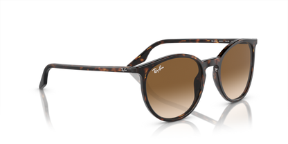 Havana - 0RB2204 8056597936552