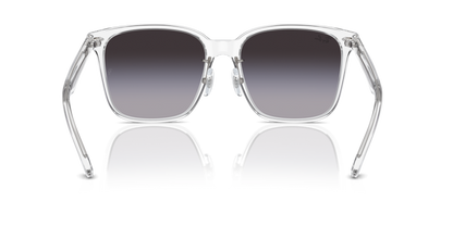 Transparent - 0RB2206D 8056262042748