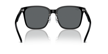 Black - 0RB2206D 8056262042779