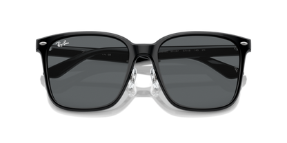 Black - 0RB2206D 8056262042779