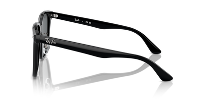 Black - 0RB2206D 8056262042779