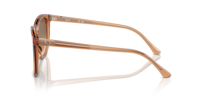 Transparent Brown - 0RB2210 8056262030592