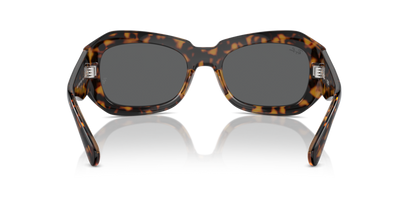 Havana On Transparent Brown - 0RB2212 8056262031643