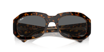 Havana On Transparent Brown - 0RB2212 8056262031643