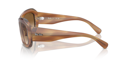 Striped Brown - 0RB2212 8056262031650