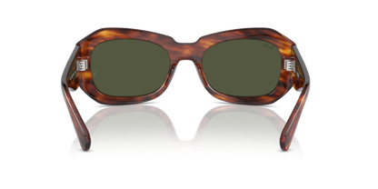 Striped Havana - 0RB2212 8056262031698