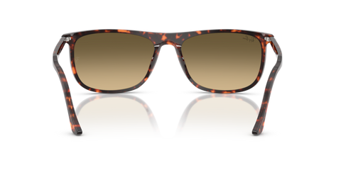 Havana Red Tortoiseshell - 0RB2216 8056262412534