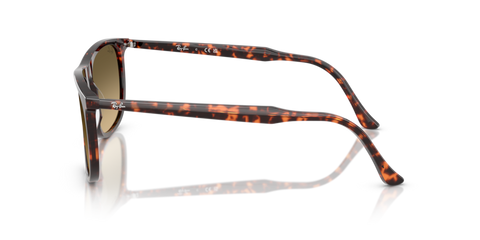 Havana Red Tortoiseshell - 0RB2216 8056262412534