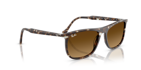 Havana Yellow Tortoiseshell - 0RB2216 8056262412572