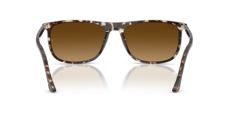 Havana Yellow Tortoiseshell - 0RB2216 8056262412572