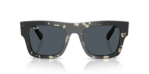 Grey Havana - 0RB2217M 8056262477922