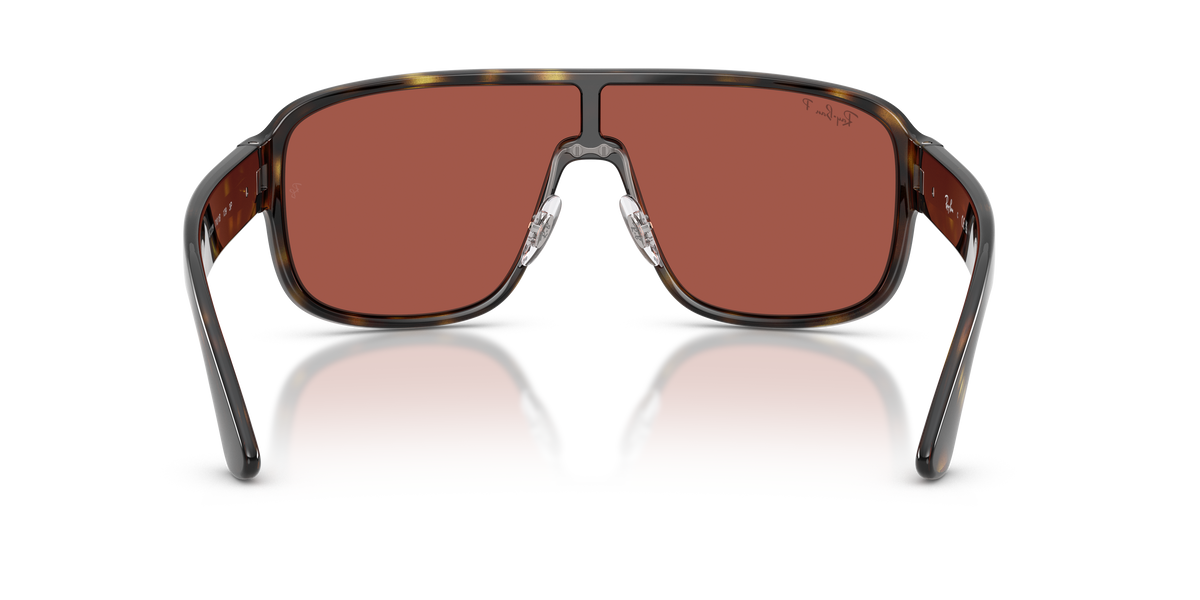 0RB2229 Havana rear view image 3 barcode 8056266183942
