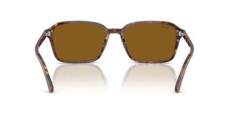 Transparent Fantasy Brown - 0RB2231 8056262245828