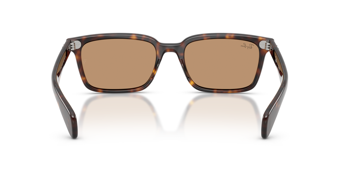 0RB2234 Havana / Brown (902/53) rear view image 3 barcode 8056262975718