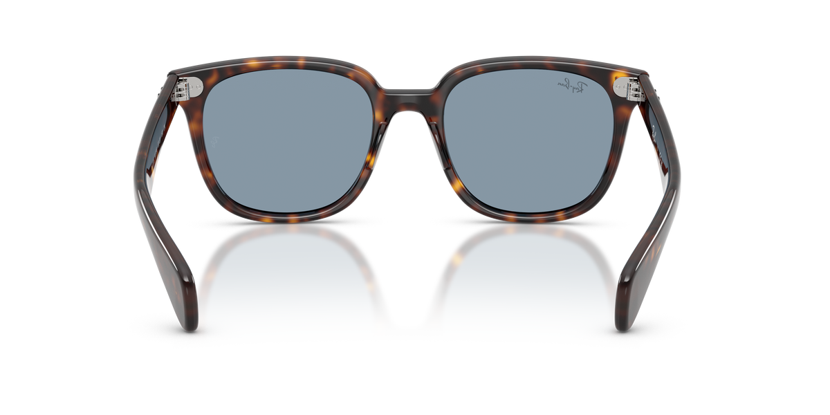 0RB2235 Havana / Blue (902/56) rear view image 3 barcode 8056262976111