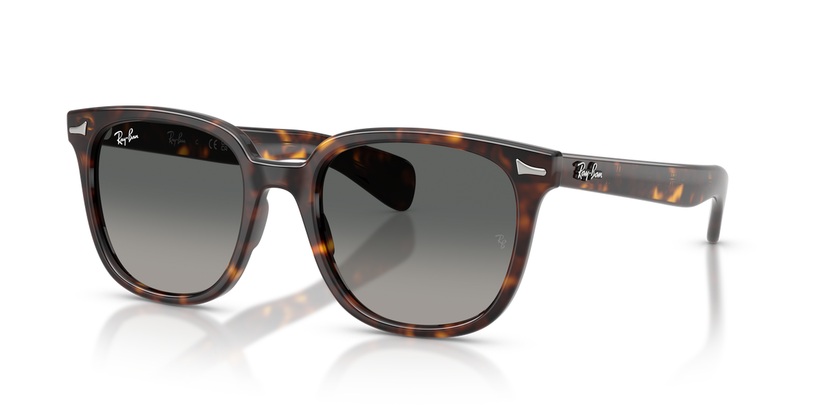 0RB2235 Havana / Light Grey Gradient Dark Grey (902/71) three quarter view image 1 barcode 8056262976135