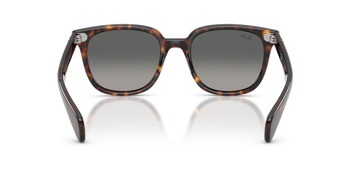 0RB2235 Havana / Light Grey Gradient Dark Grey (902/71) rear view image 3 barcode 8056262976135