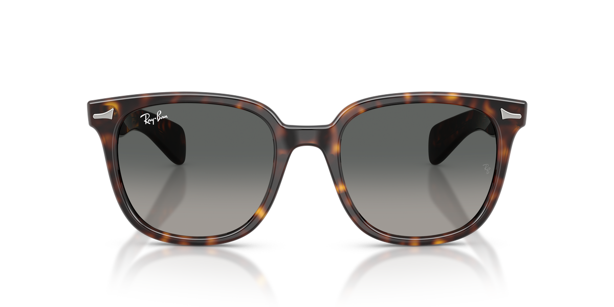 0RB2235 Havana / Light Grey Gradient Dark Grey (902/71) front view image 5 barcode 8056262976135