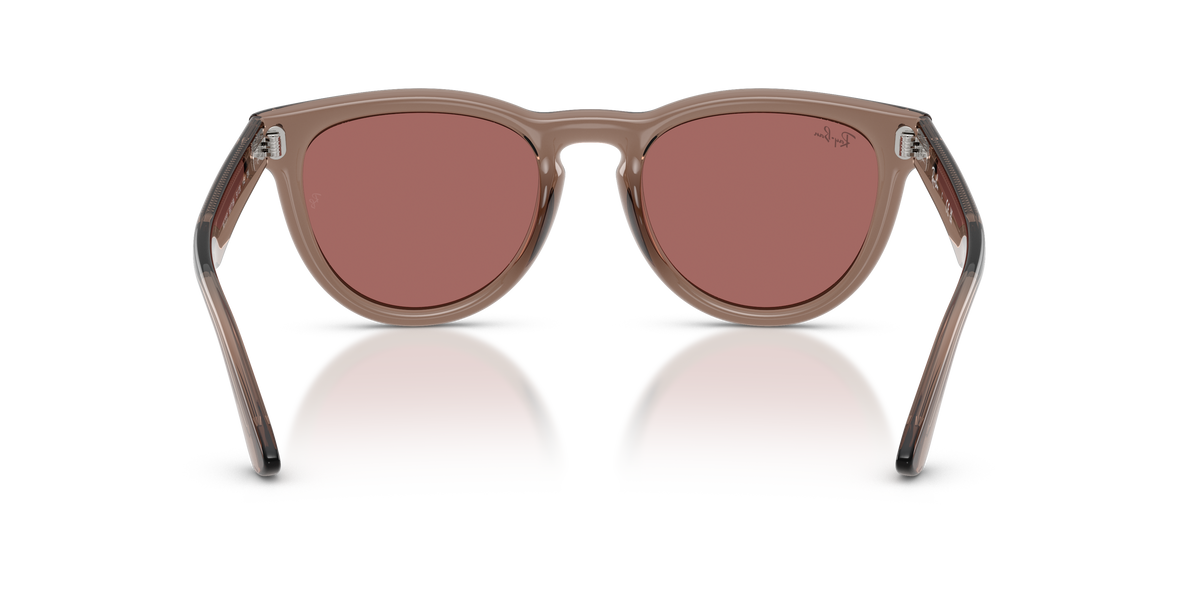 0RB2237 Transparent Light Brown rear view image 3 barcode 8056262977378