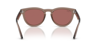 0RB2237 Transparent Light Brown rear view image 3 barcode 8056262977378