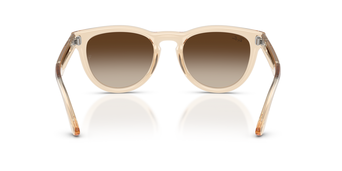 0RB2237 Transparent Nude rear view image 3 barcode 8056262977392