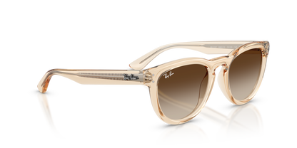 0RB2237 Transparent Nude alternate view image 4 barcode 8056262977392