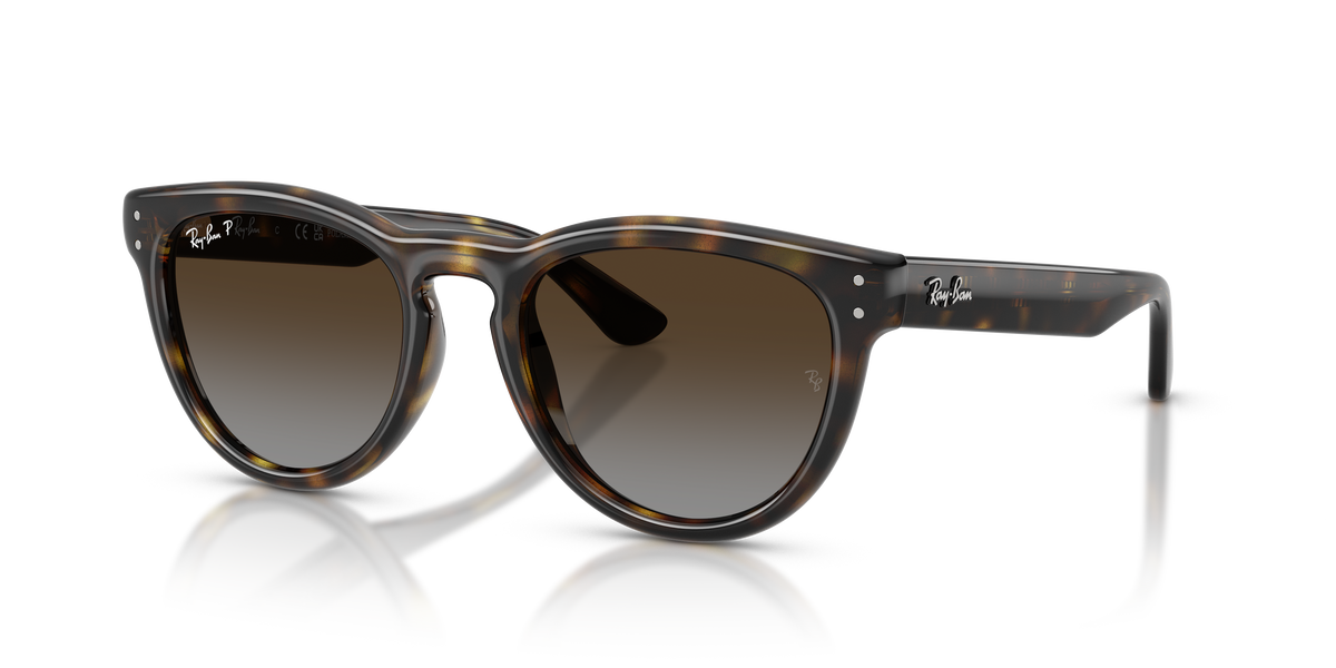 0RB2237 Havana / Polarized Light Grey Gradient Brown (710/T5) three quarter view image 1 barcode 8056262977415
