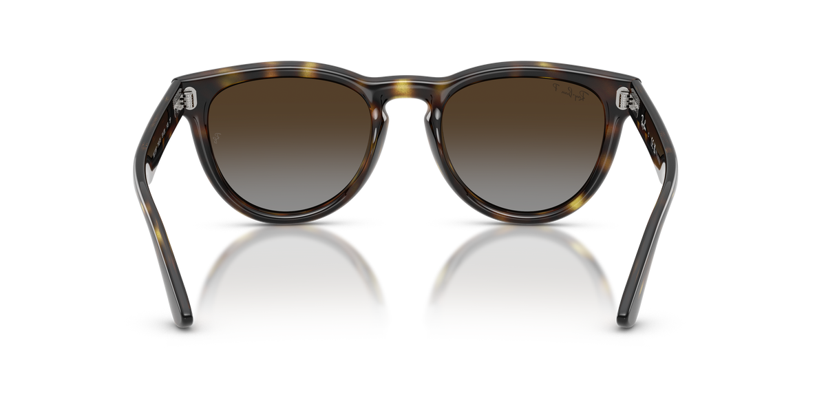 0RB2237 Havana / Polarized Light Grey Gradient Brown (710/T5) rear view image 3 barcode 8056262977415