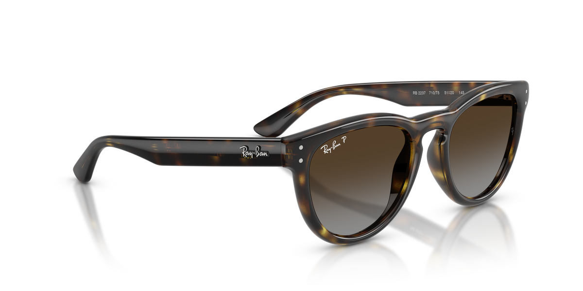 0RB2237 Havana / Polarized Light Grey Gradient Brown (710/T5) alternate view image 4 barcode 8056262977415
