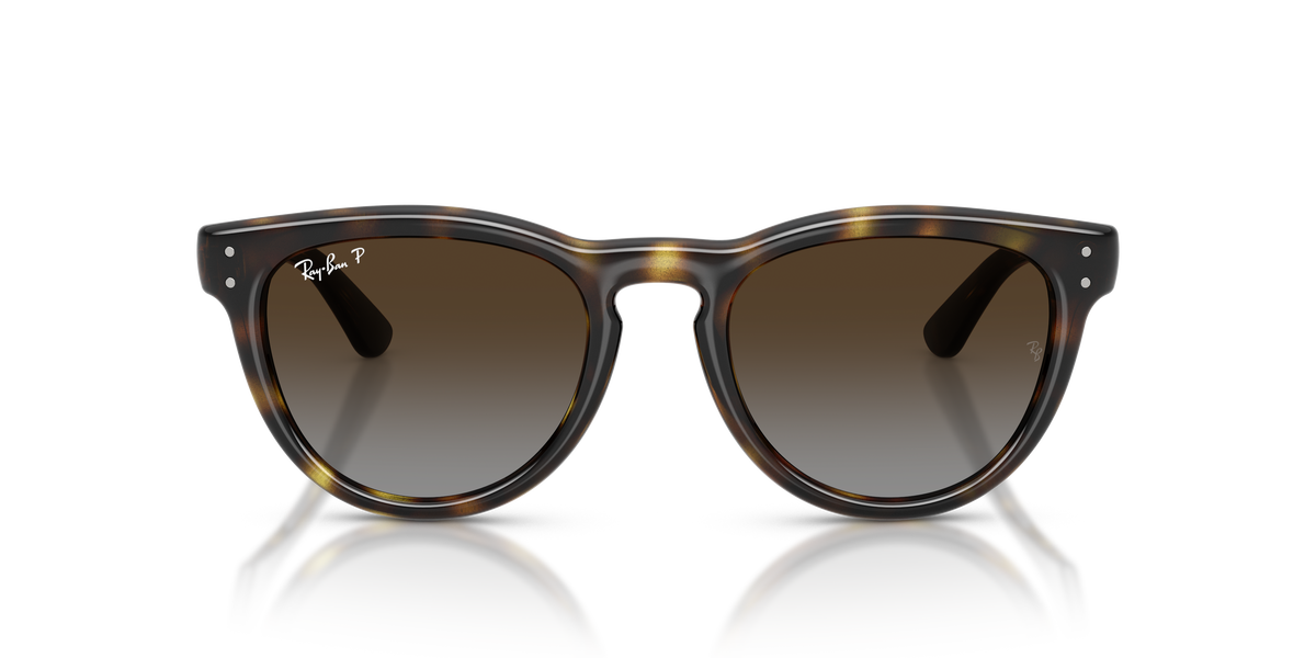 0RB2237 Havana / Polarized Light Grey Gradient Brown (710/T5) front view image 5 barcode 8056262977415