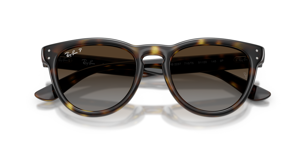 0RB2237 Havana / Polarized Light Grey Gradient Brown (710/T5) close front view image 6 barcode 8056262977415