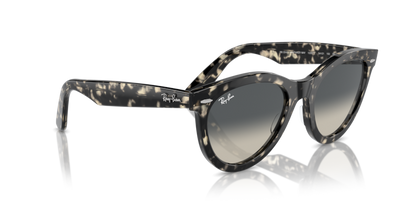 Grey Havana - 0RB2241 8056262031001