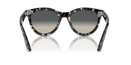 Grey Havana - 0RB2241 8056262031001