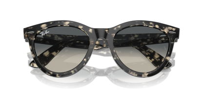 Grey Havana - 0RB2241 8056262031001