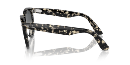 Grey Havana - 0RB2241 8056262031001