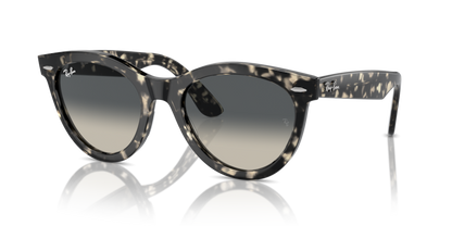 Grey Havana - 0RB2241 8056262031001