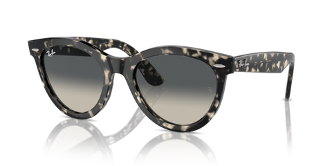 Grey Havana - 0RB2241 8056262031001