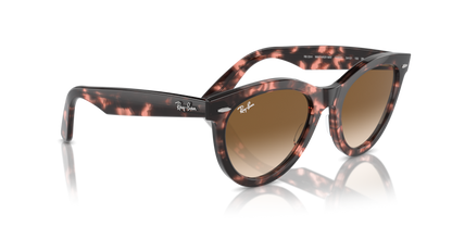 Pink Havana - 0RB2241 8056262031025
