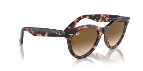 Pink Havana - 0RB2241 8056262031025