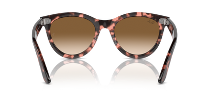 Pink Havana - 0RB2241 8056262031025