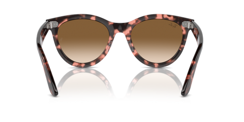 Pink Havana - 0RB2241 8056262031025