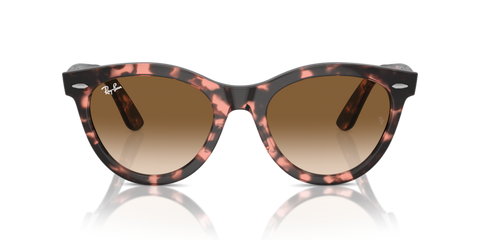 Pink Havana - 0RB2241 8056262031025